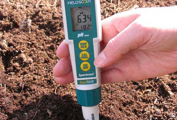 Mesure de l'acidité du sol