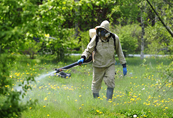 Pulvériser la zone contre les moustiques