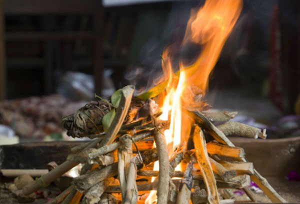 Feu de joie Juniper