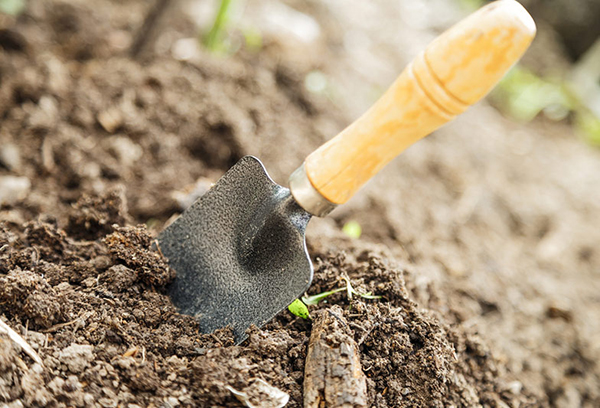 Scoop dans la terre de jardin