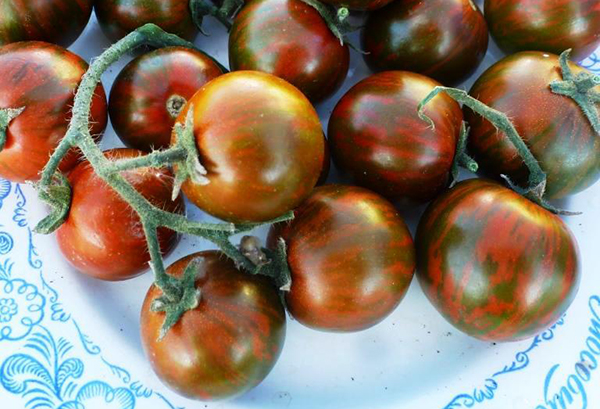 Tomates prince noires sur une assiette