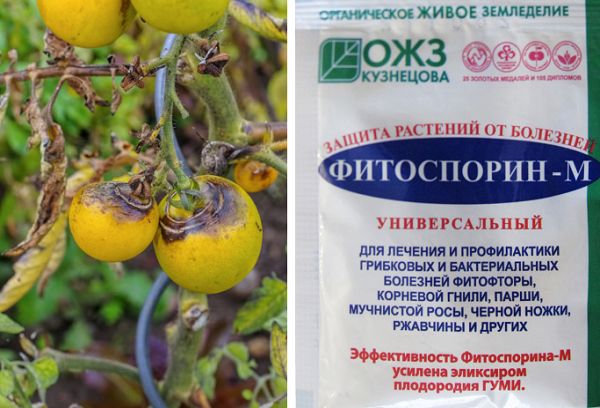 Прах Fitosporin