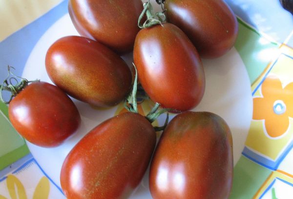 Fruits de tomate sur une assiette