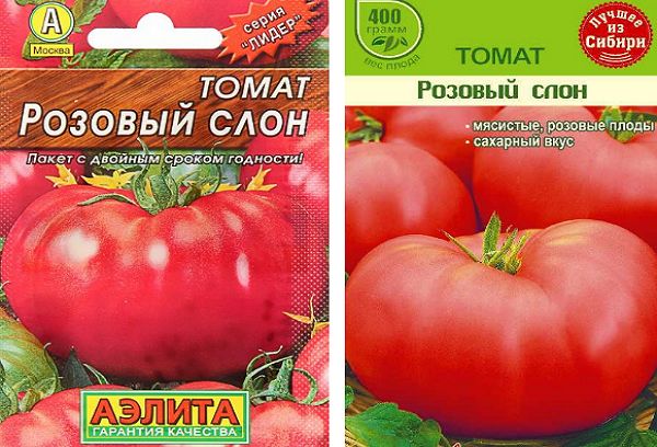 Graines de tomates dans un pack