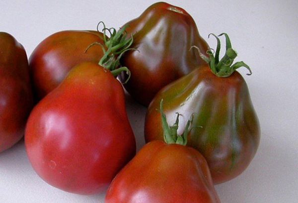 Tomates à la truffe