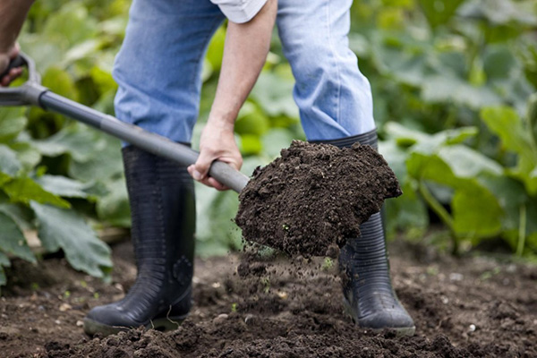 Enrichissement du sol de jardin