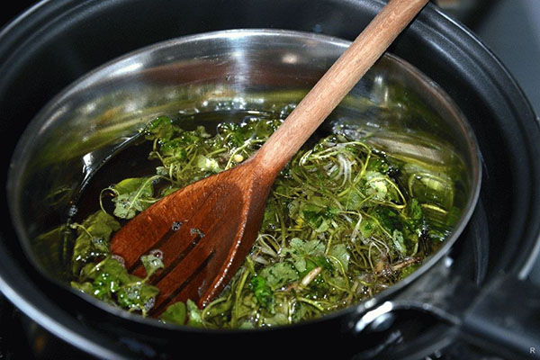 Bouillon de chélidoine