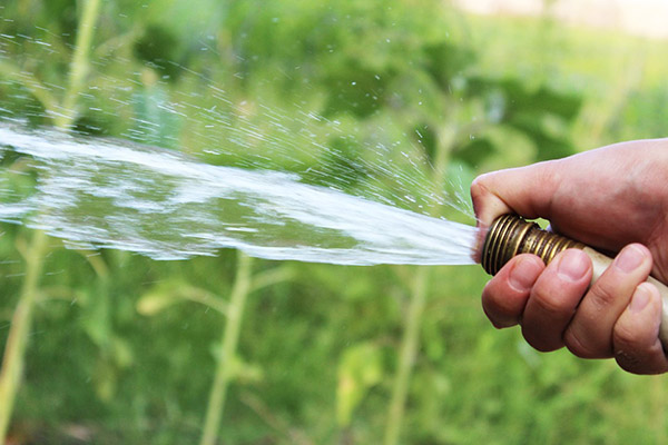 Tuyau d'arrosage pour arrosage