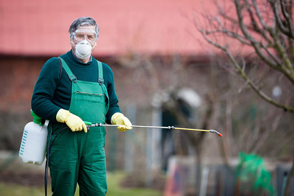 L'homme dans un respirateur et des gants pulvérise un arbre