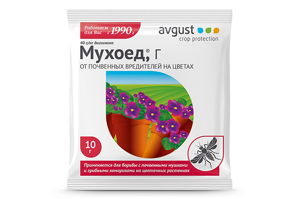 Insecticide Muchoed