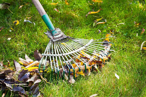 Nettoyer les feuilles mortes