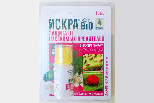 Искра БИО