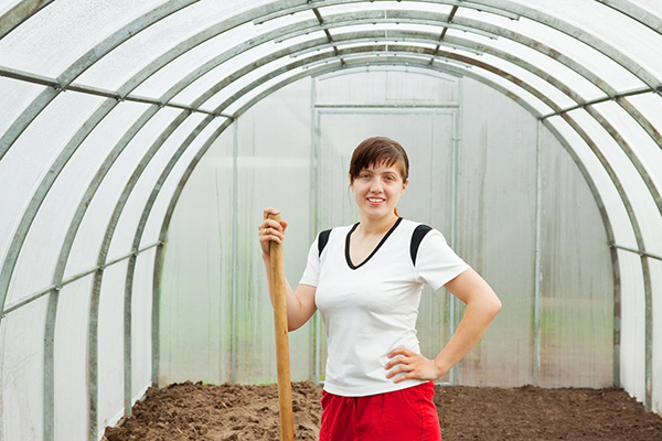 Préparer la serre pour planter des semis