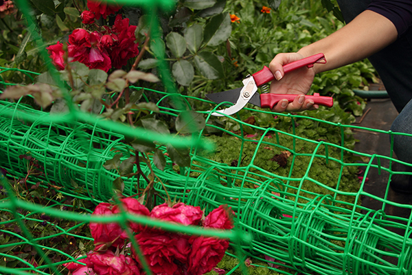 Filet en plastique pour jarretières de plantes