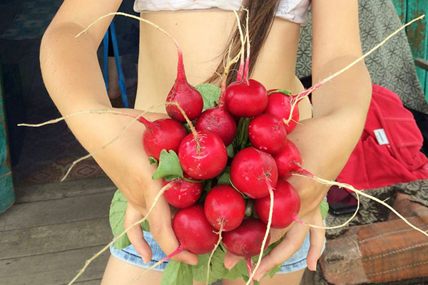 Fille tenant un bouquet de radis