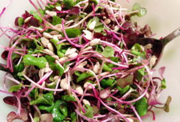 Microgreen rädisallad