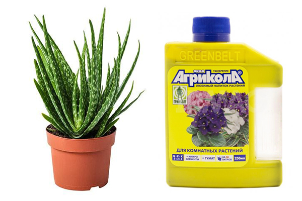 Engrais liquide Agricola pour plantes d'intérieur