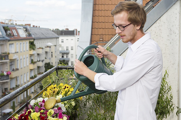 Homme, arrosage des fleurs sur le balcon