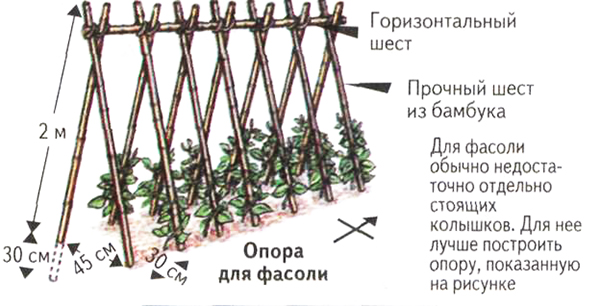 Diagramme de support de jarretière de haricots