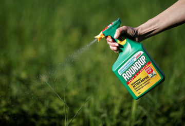 Pulvériser de l'herbe avec un herbicide