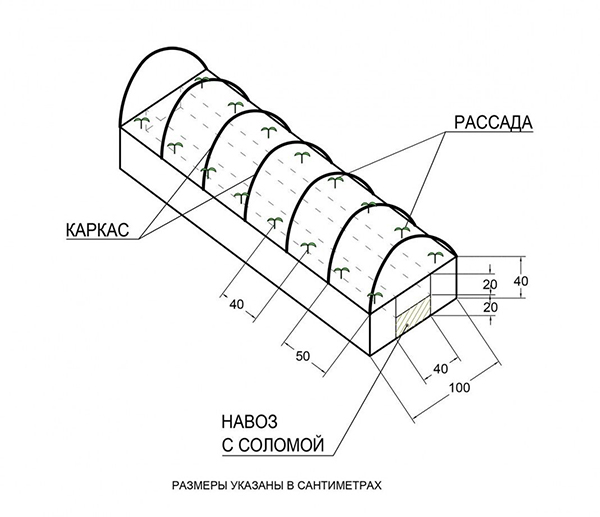 Dimensions de la serre pour les concombres