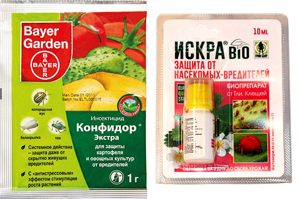 Insecticides Confidor Extra et Iskra Bio