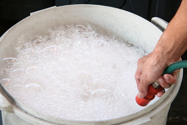 Solution de savon à lessive pour les pucerons