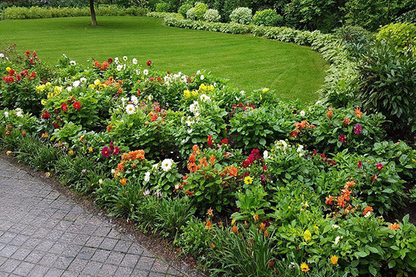 Fleurs de bordure dans la conception de paysage