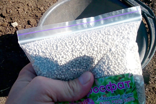 Superphosphate pour application sur le sol du jardin