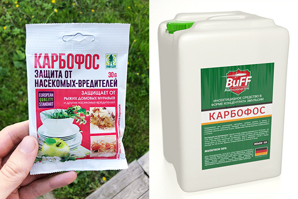 Insecticide Karbofos