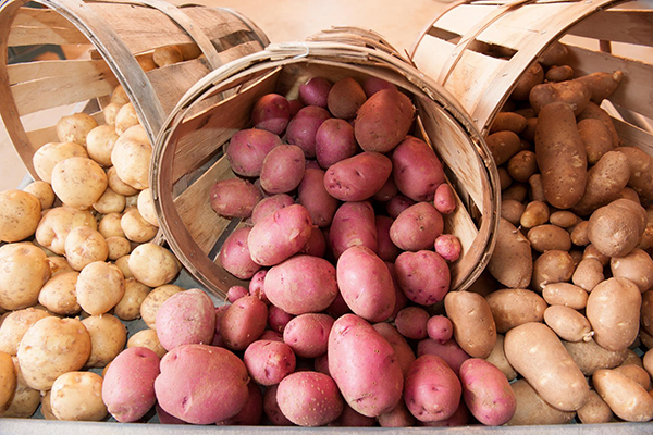 Pommes de terre de différentes variétés