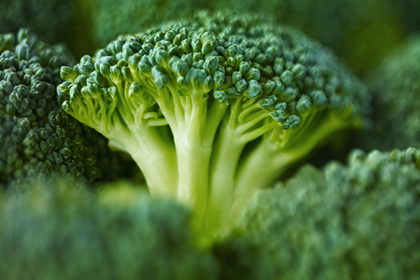 Broccoli blomställning