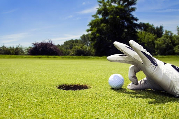 Pelouse sportive sur le terrain de golf