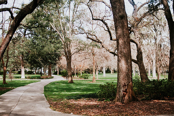 Parc de pelouse