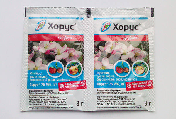 Sachets de fongicide Horus 3 g