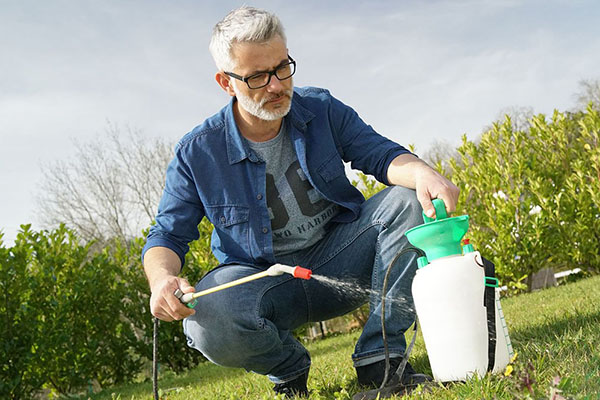 Pulvérisation d'herbicide sur les mauvaises herbes