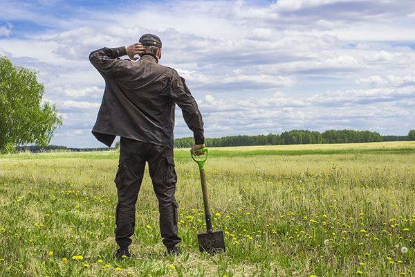 Zone envahie par les mauvaises herbes